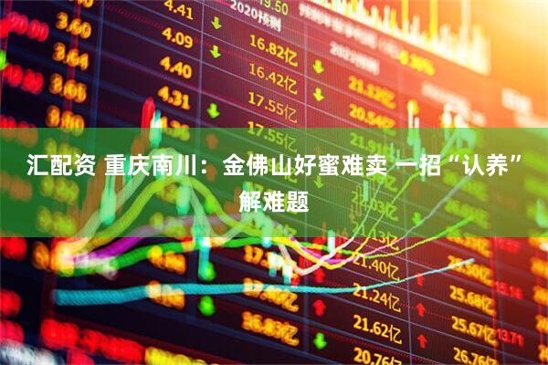 汇配资 重庆南川：金佛山好蜜难卖 一招“认养”解难题