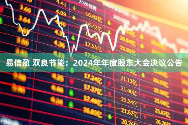 易信盈 双良节能：2024年年度股东大会决议公告