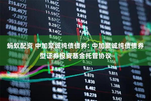 蚂蚁配资 中加聚诚纯债债券: 中加聚诚纯债债券型证券投资基金托管协议