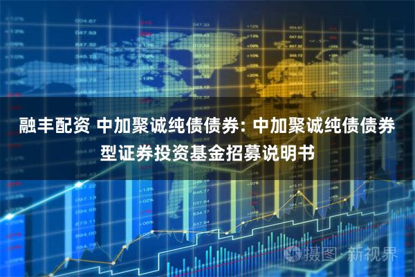 融丰配资 中加聚诚纯债债券: 中加聚诚纯债债券型证券投资基金招募说明书